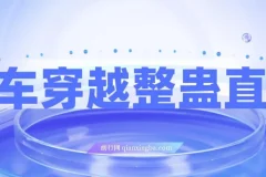 开车穿越无人直播玩法：简单易上手，收益可观
