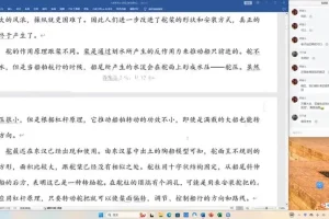 2025高三乘风语文二轮冲刺班：语用、阅读、作文全突破