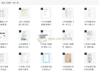 小学六年级小升初备考资料大全