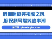 借猫咪搞笑视频之风，开启视频号爆笑故事项目，无门槛快速入门