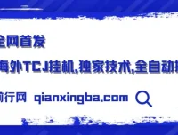 全网首发：海外TCJ挂机项目，独家技术全自动撸美金