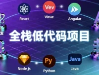 全栈低代码项目实战资源