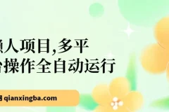 头条与公众号多平台全自动懒人网创项目，下班实操日入可观