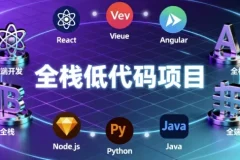 全栈低代码项目实战资源