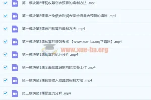 徐欣：全面预算的编制执行与控制