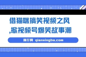 借猫咪搞笑视频之风，开启视频号爆笑故事项目，无门槛快速入门
