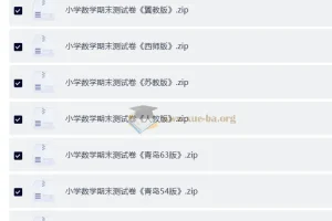 小学数学期末测试卷（多版本合集）