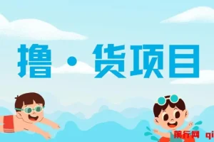 撸货项目