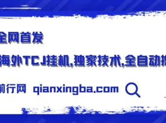 全网首发：海外TCJ挂机项目，独家技术全自动撸美金