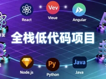 全栈低代码项目实战资源