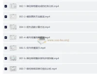 0基础AI入门实战：深度学习与PyTorch案例精讲