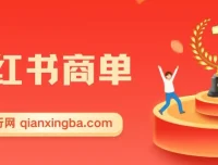 小红书商单项目：流量与现金扶持，快速涨粉开启稳定收益