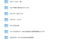 《段永平系列合集》：投资智慧与商业洞察