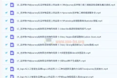 谢安妮野生设计师：设计师用AI提升效率课程