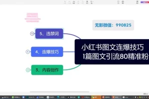 小红书爆款图文引流教学课程：单篇图文连爆秘籍