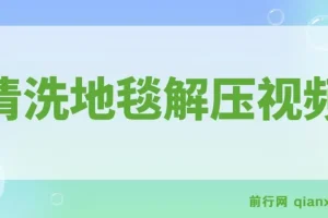 清洗地毯解压视频：超冷门抖音短视频赛道教程与素材