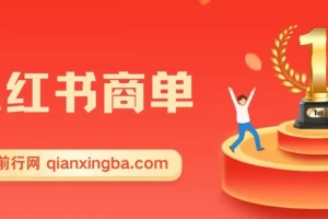 小红书商单项目：流量与现金扶持，快速涨粉开启稳定收益