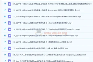 谢安妮野生设计师：设计师用AI提升效率课程