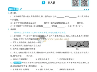 2025年秋季小学科学4星学霸提高班（教科版3 – 6年级）