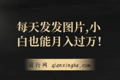 揭秘：一单利润19.9，一天100单，小白发发图片月入过万项目
