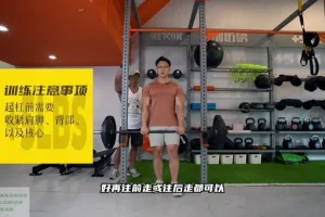 小萝卜四分化增肌训练高阶教程