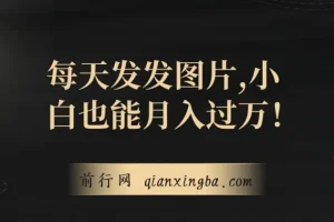 揭秘：一单利润19.9，一天100单，小白发发图片月入过万项目