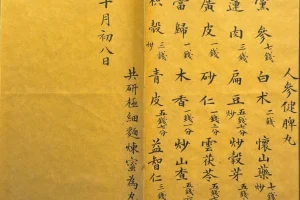 《中华绝学·中国历代方术大观》：千古奇书