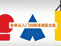 泰拳从入门到精通课程合集