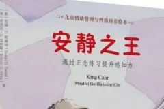 儿童专注力培养绘本《安静之王》PPT