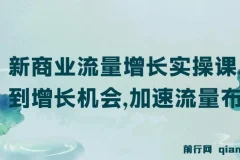 新商业流量增长实操课：找到增长机会，加速流量布局