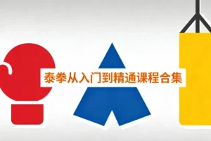 泰拳从入门到精通课程合集