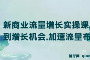 新商业流量增长实操课：找到增长机会，加速流量布局