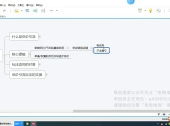 拼多多运营：15套独家技术实战指南