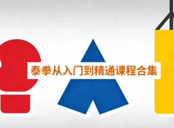 泰拳从入门到精通课程合集