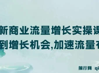 新商业流量增长实操课：找到增长机会，加速流量布局