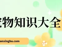 宠物知识大全项目课程：真正的蓝海小众稳定收益项目