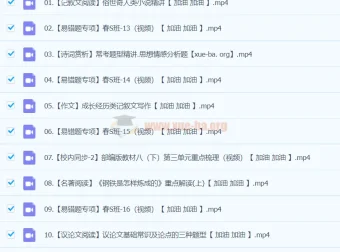 2024初二语文柳宁语文A+春季班（春下）课程