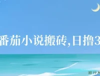 番茄小说搬砖项目：全自动操作，日撸300+！