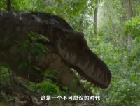 探秘恐龙世界：古生物学习指南