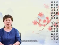 申怡大语文：诗词五千年深度解析课程