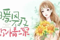 有声小说《暖风不及你情深》多人有声剧622集全完结