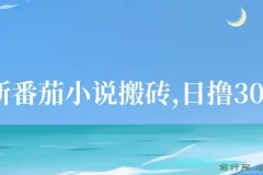 番茄小说搬砖项目：全自动操作，日撸300+！