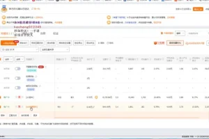 淘宝直通车新手教程：从0到精通的SEO优化指南