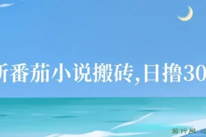 番茄小说搬砖项目：全自动操作，日撸300+！