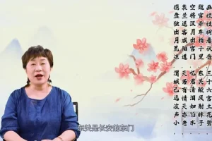 申怡大语文：诗词五千年深度解析课程