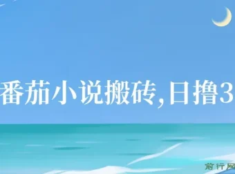 番茄小说搬砖项目：全自动操作，日撸300+！