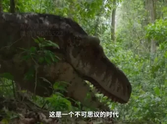 探秘恐龙世界：古生物学习指南