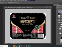 贾丽芳包装设计实战课程