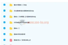 徐莹、曹志林、邱百瑞《围棋入门视频教程》