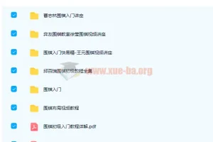 徐莹、曹志林、邱百瑞《围棋入门视频教程》